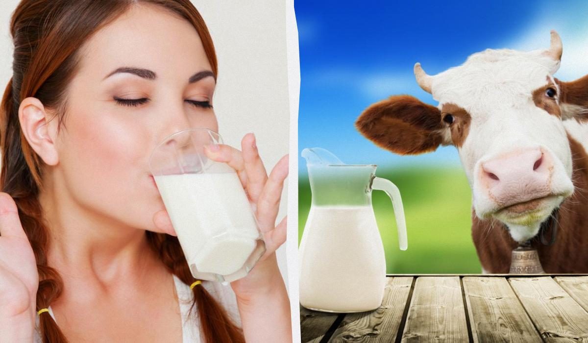 Растительное молоко: польза и вред для женщин, как выбрать и употреблять