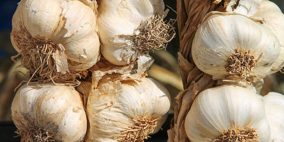 Луковая шелуха: ценные советы для дома и сада