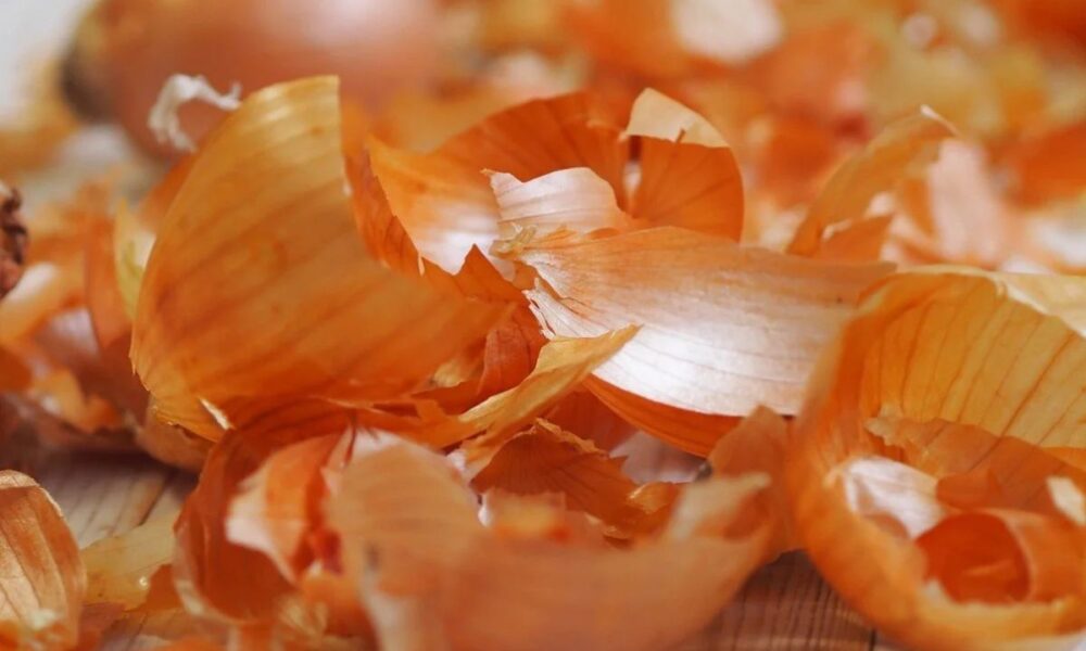 Луковая шелуха для рассады: секреты опытных садоводов