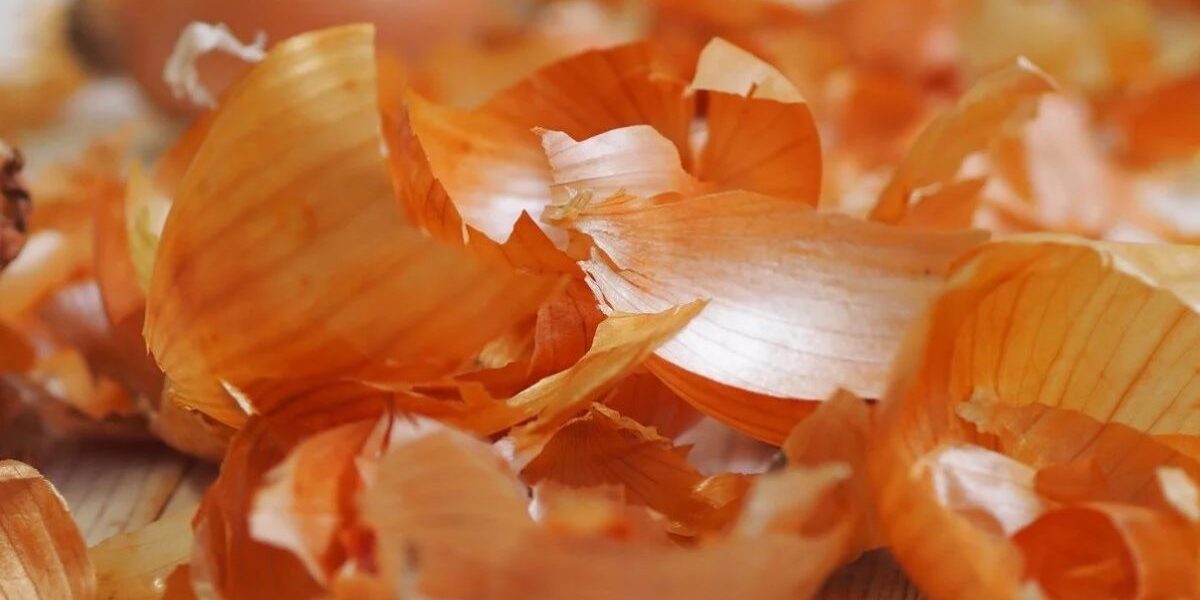 Луковая шелуха для рассады: секреты опытных садоводов