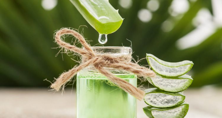 Алоэ вера для красоты и здоровья кожи: 5 секретов для женщин