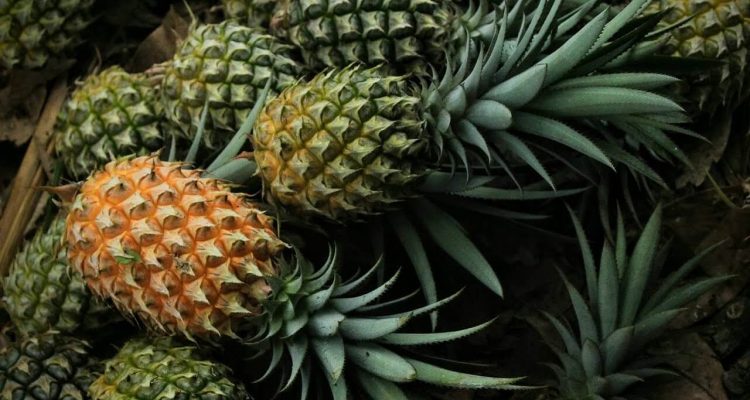 Топ-10 продуктов против воспалений для женского здоровья