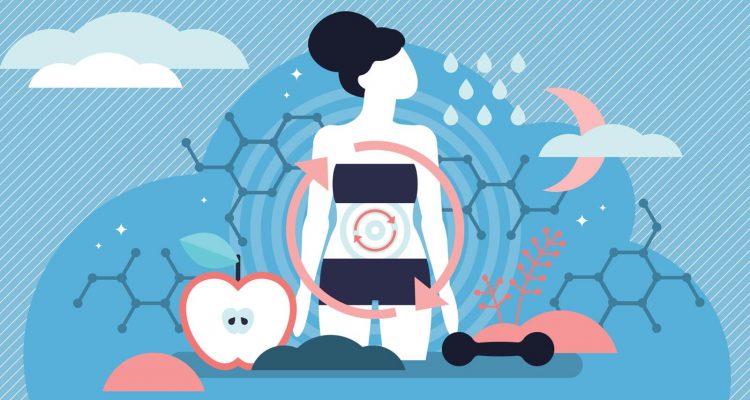 Как ускорить метаболизм: советы для женского здоровья и похудения