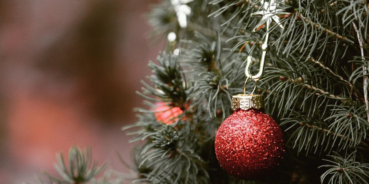 Когда убирать новогоднюю елку: лучшие даты и приметы для хозяйки