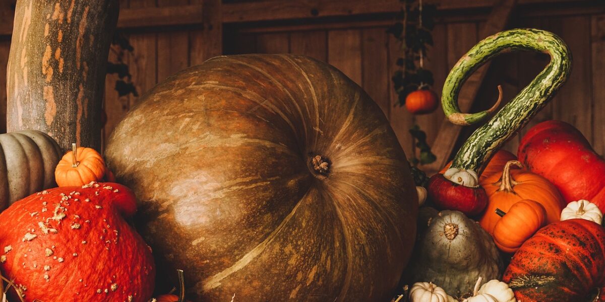 Image for: Ватрушка с творогом и тыквой: нежный десерт для женского счастья. Tags: тыква, уборка урожая, осень, падение,...