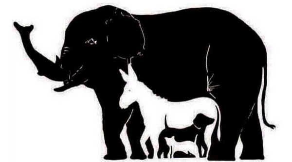 Тест на внимательность: найди всех животных на картинке и узнай свой уровень IQ