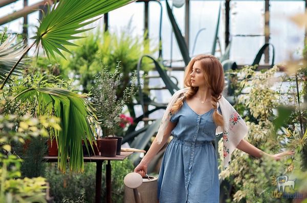 Борная кислота: полезный помощник для ухода за растениями