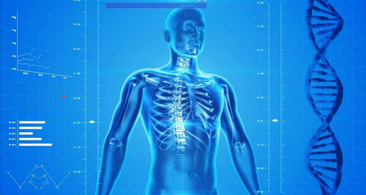 Крепкие кости после 30: как сохранить женское здоровье