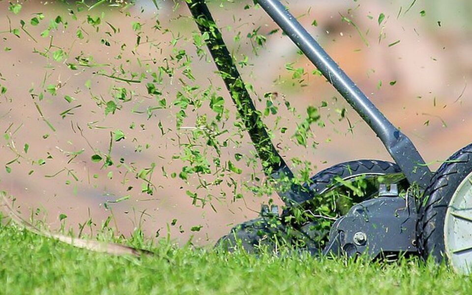 Идеальный газон своими руками: советы по уходу и озеленению