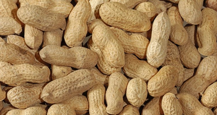 Опасные продукты: как избежать анафилактического шока и сохранить здоровье