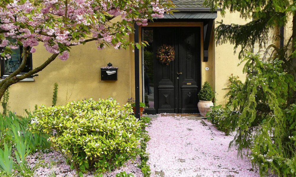 Какие деревья посадить возле дома: выбираем защиту и уют для семьи