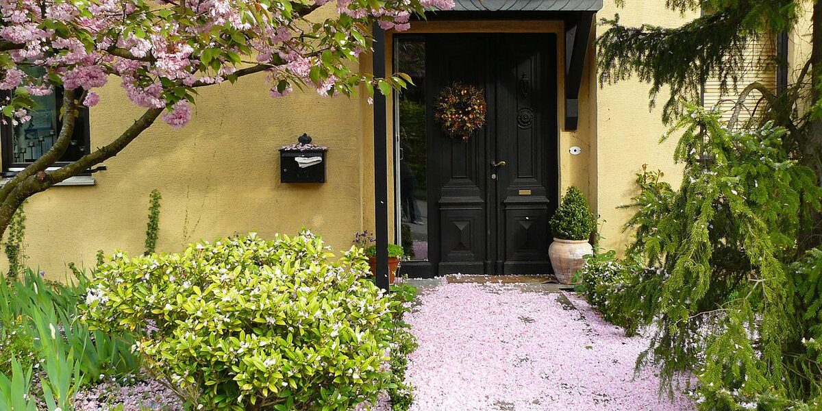 Какие деревья посадить возле дома: выбираем защиту и уют для семьи