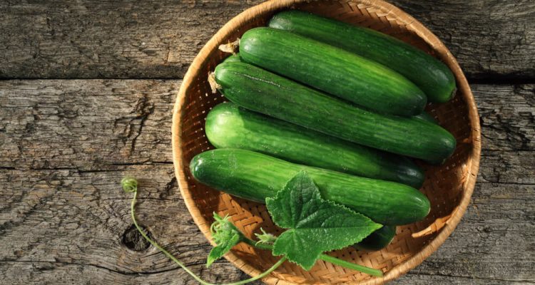Огурцы для здоровья: 5 причин есть их каждый день женщине