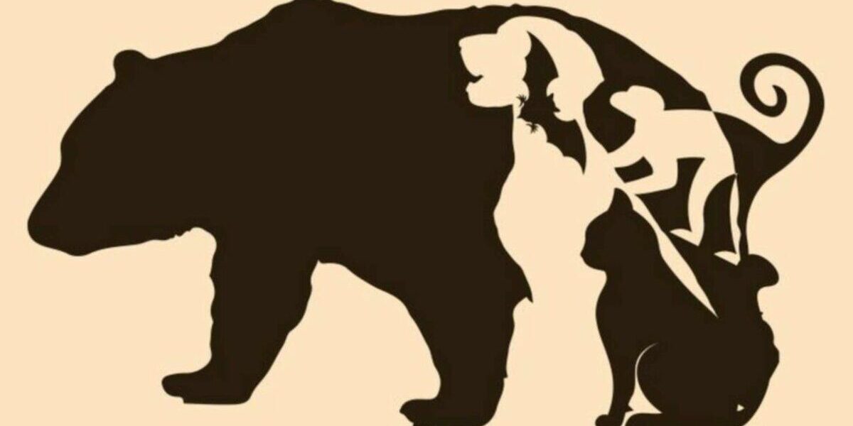 Какой зверь первым бросился в глаза? Тест раскроет ваши сильные стороны