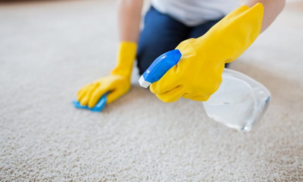 Как избавиться от запаха мочи на ковре: эффективные способы и средства