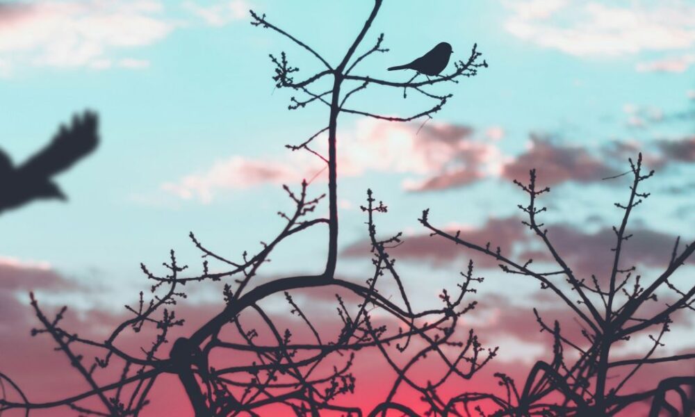 Народные приметы на каждый день: полезные советы для дома и семьи