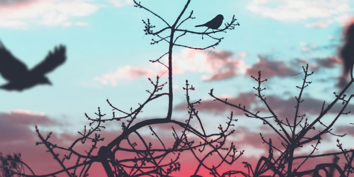 Народные приметы на каждый день: полезные советы для дома и семьи