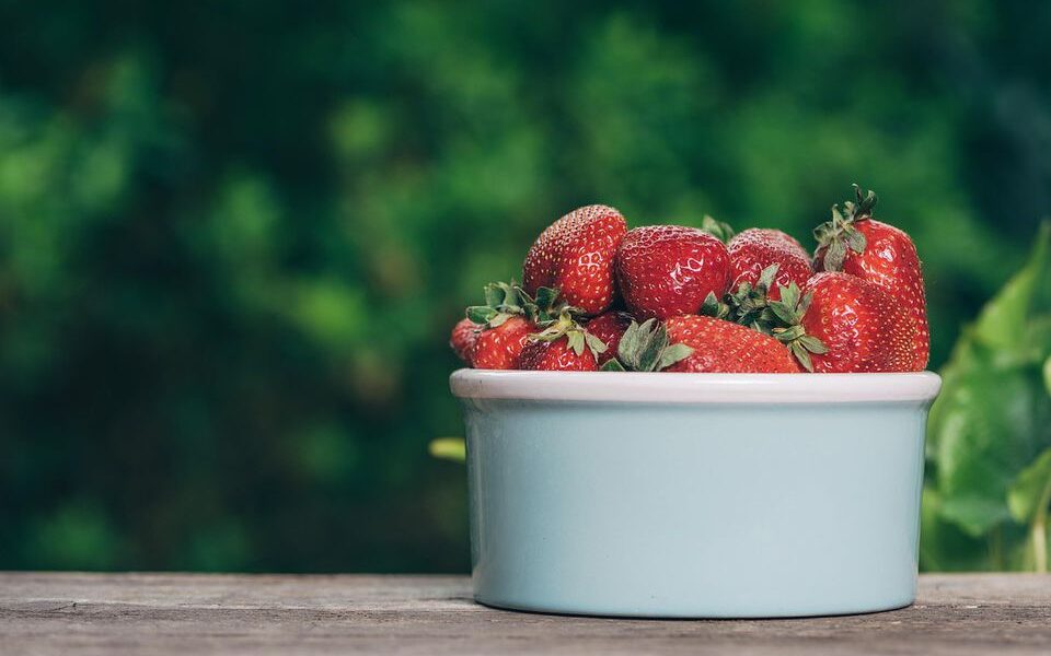 Секреты богатого урожая клубники: подкормка в апреле для щедрого плодоношения