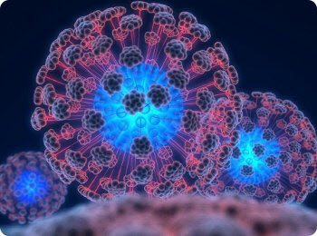 Опасна ли плесень на продуктах: можно ли есть, обрезав пораженную часть?