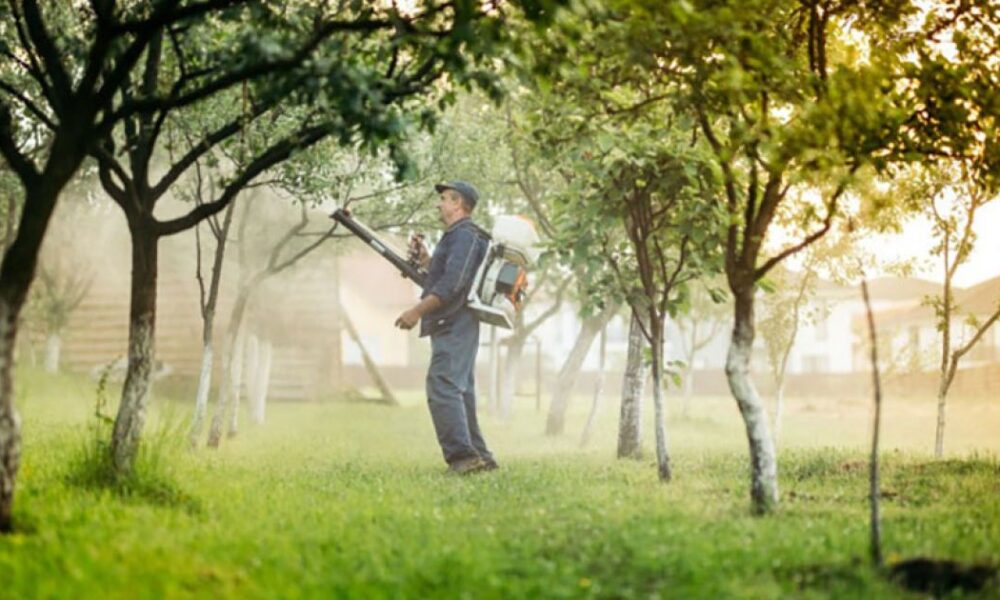 Весенняя обработка сада: когда и чем опрыскивать, полное руководство для уюта вокруг дома