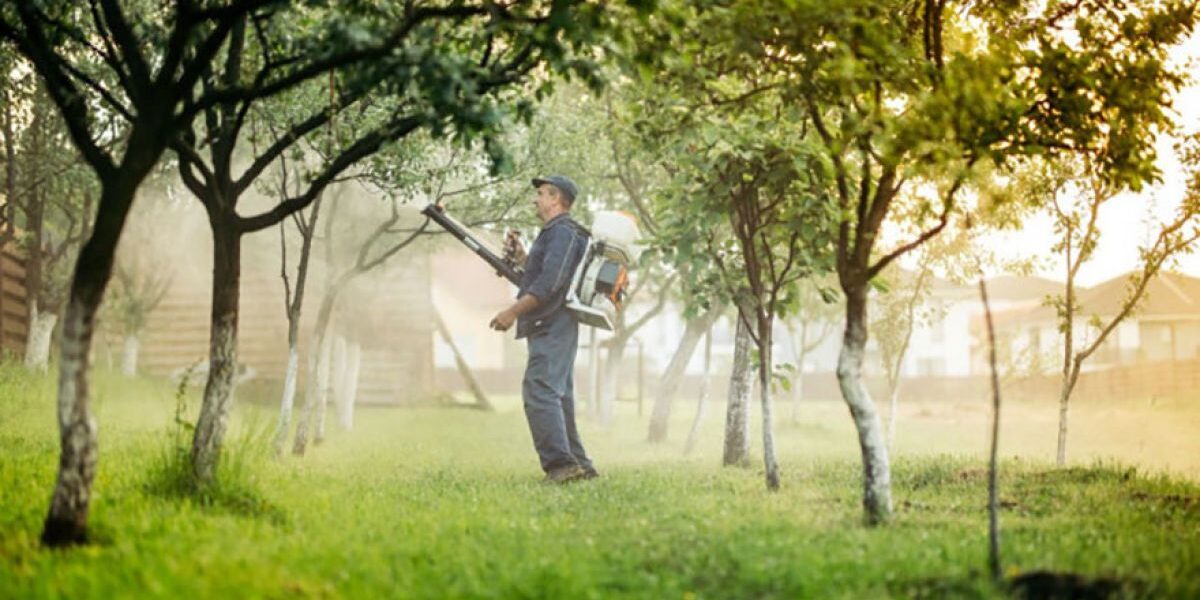 Весенняя обработка сада: когда и чем опрыскивать, полное руководство для уюта вокруг дома