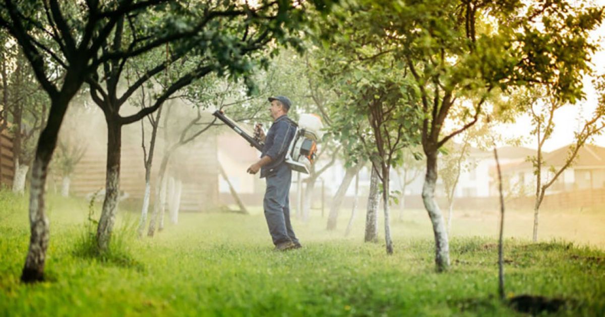 Весенняя обработка сада: когда и чем опрыскивать, полное руководство для уюта вокруг дома