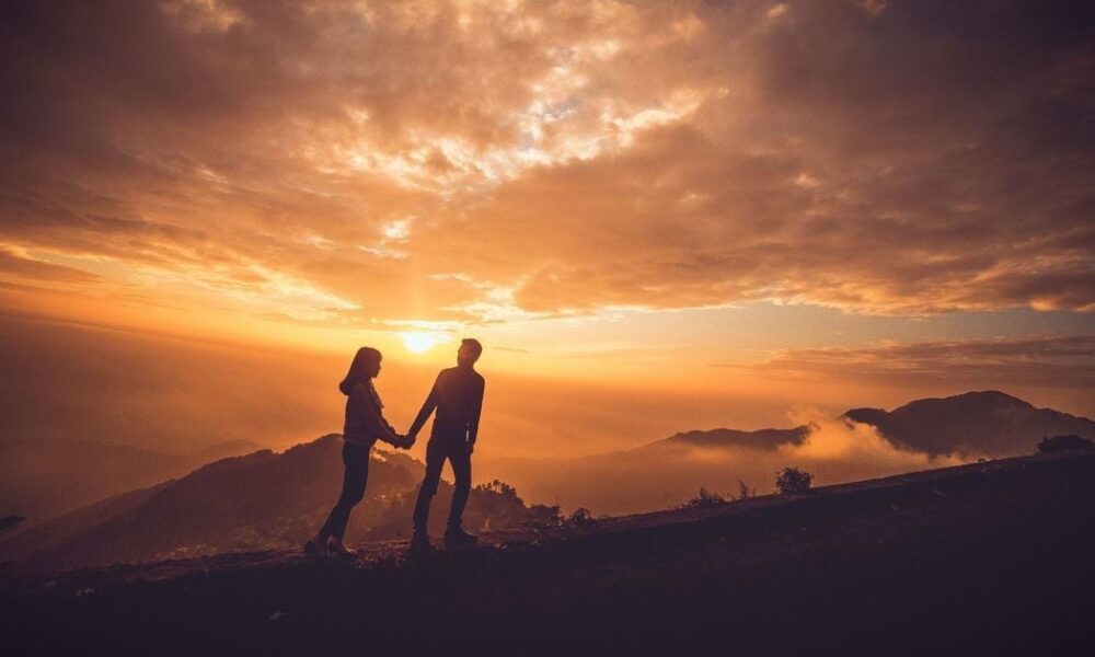 Как защитить сад от вредителей: что делать при появлении яблоневого цветоеда