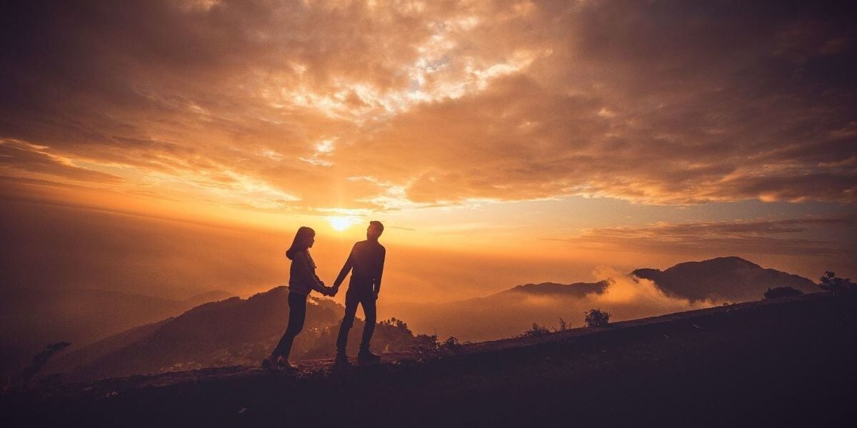 Как защитить сад от вредителей: что делать при появлении яблоневого цветоеда