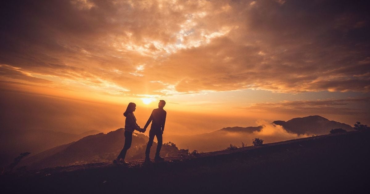 Как защитить сад от вредителей: что делать при появлении яблоневого цветоеда