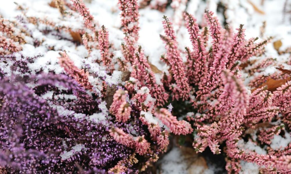 Именины 24 февраля: кого поздравить и как отметить день ангела