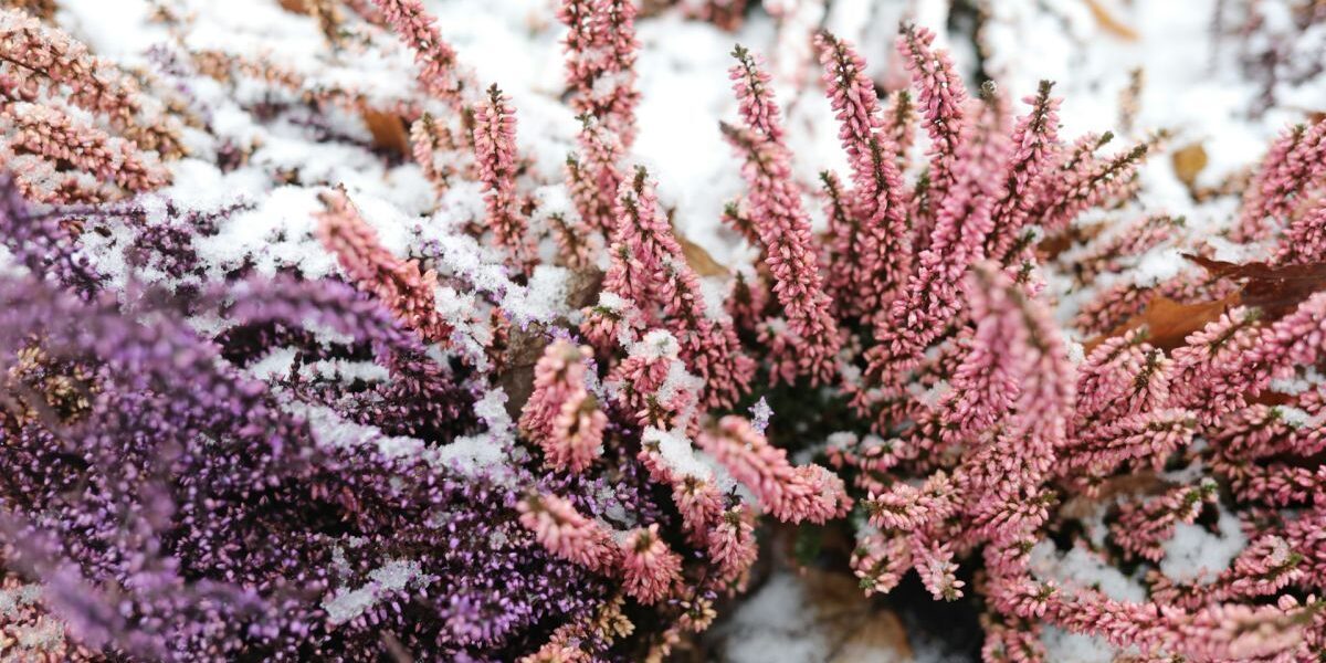 Именины 24 февраля: кого поздравить и как отметить день ангела