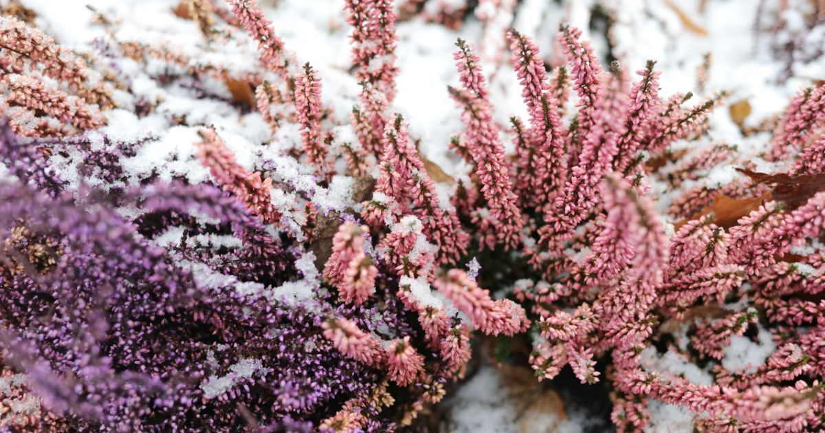 Именины 24 февраля: кого поздравить и как отметить день ангела