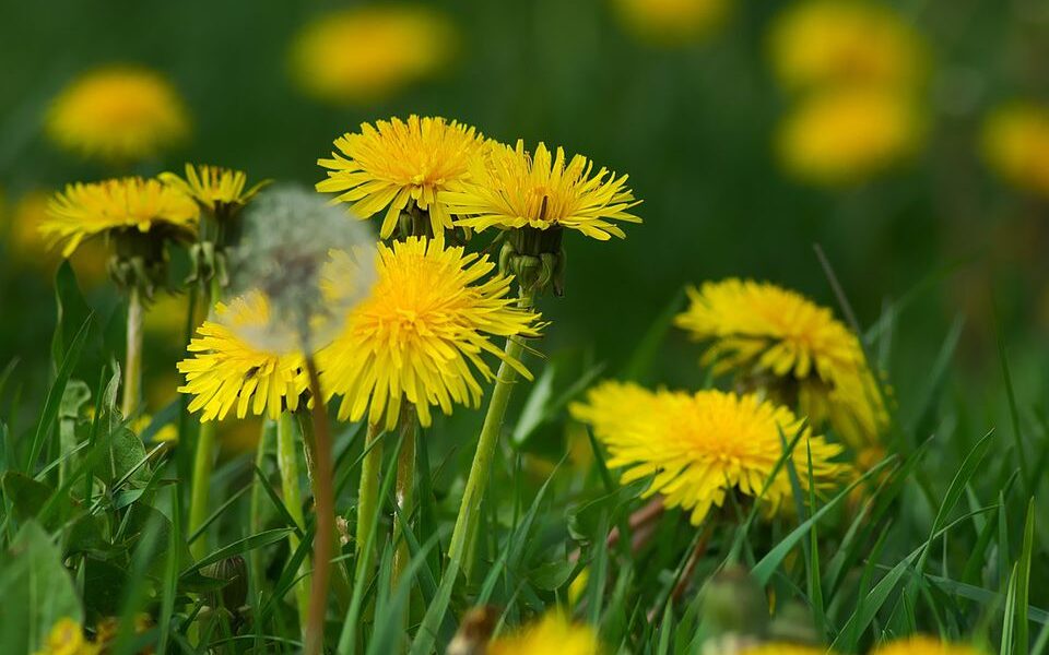 Что означает символ «е» на упаковке продуктов: полезный знак для каждой хозяйки