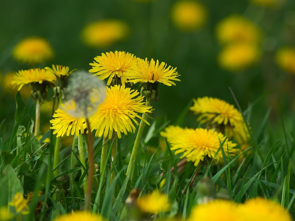 Что означает символ «е» на упаковке продуктов: полезный знак для каждой хозяйки