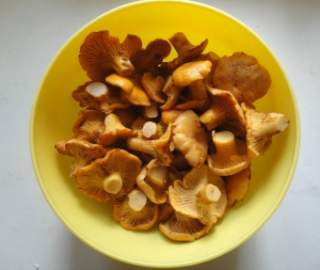 Суп из лисичек в домашних условиях - простой рецепт ароматного блюда