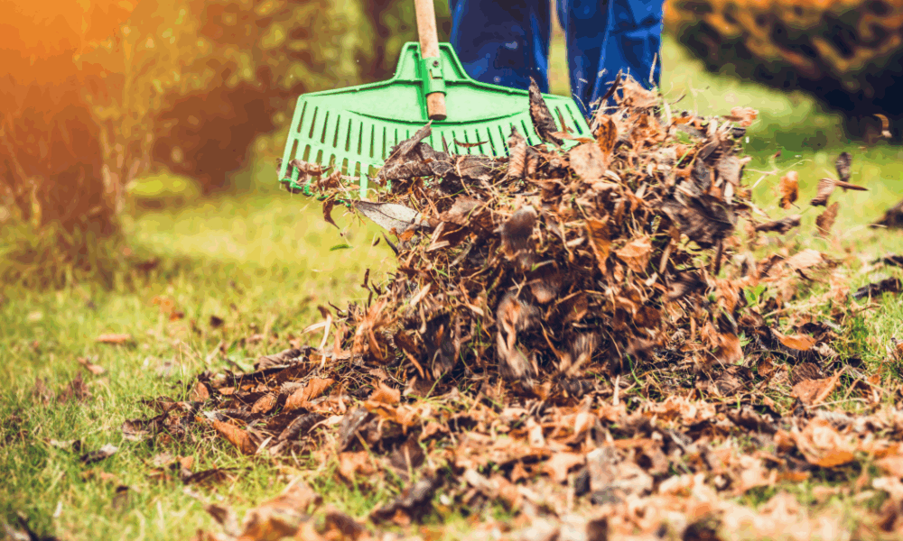 Почему не стоит убирать опавшие листья в октябре: советы для вашего сада.