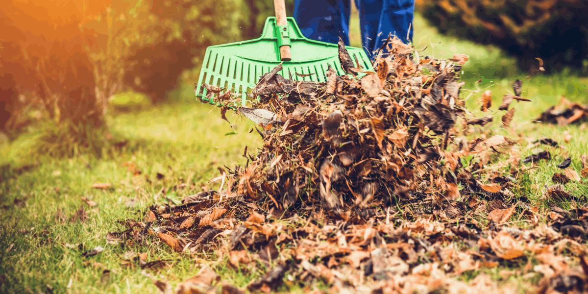 Почему не стоит убирать опавшие листья в октябре: советы для вашего сада.