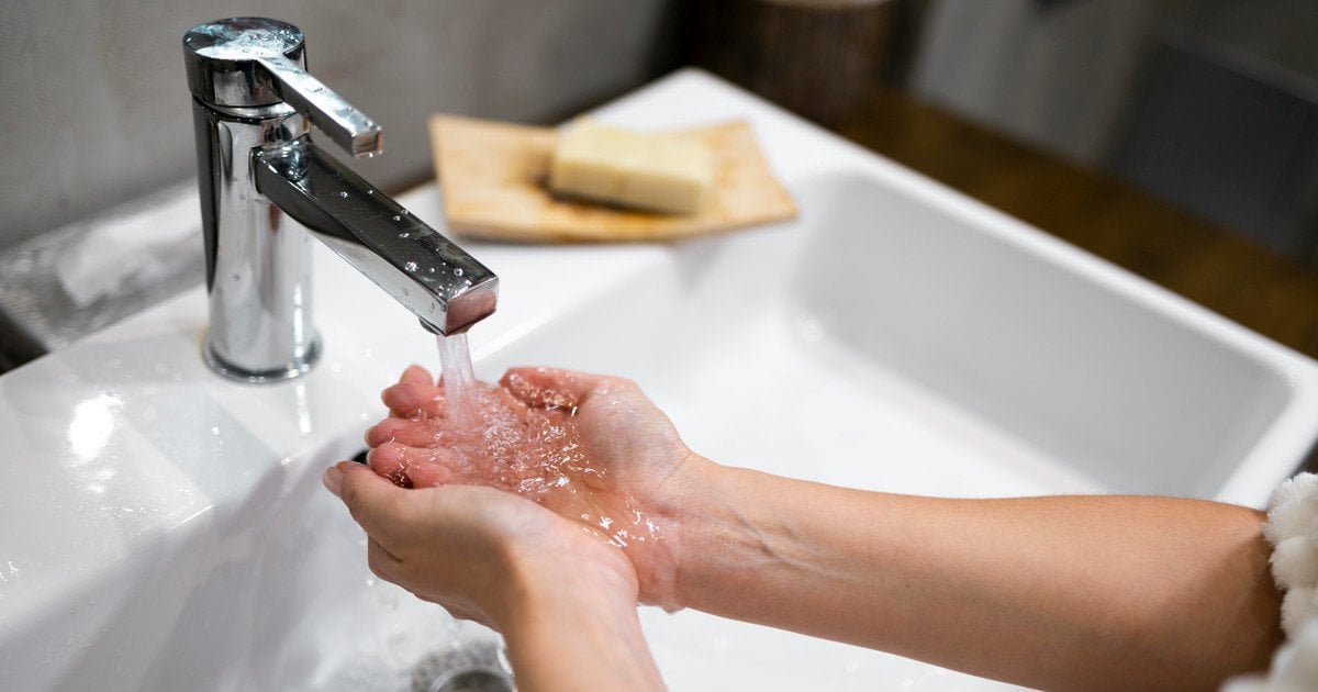 Какие горшки лучше для домашних растений — советы по выбору идеального варианта для цветов