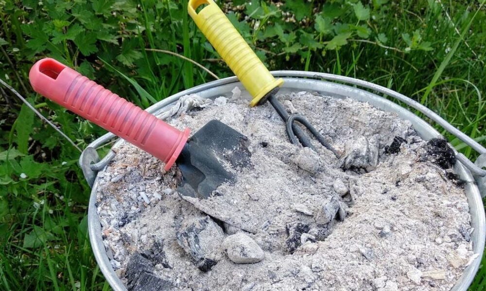 Удобрение для щедрого урожая: секреты использования древесного пепла в саду и огороде