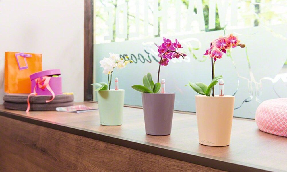 Преимущества горшков с автополивом: почему они незаменимы для ухода за растениями в доме и на даче