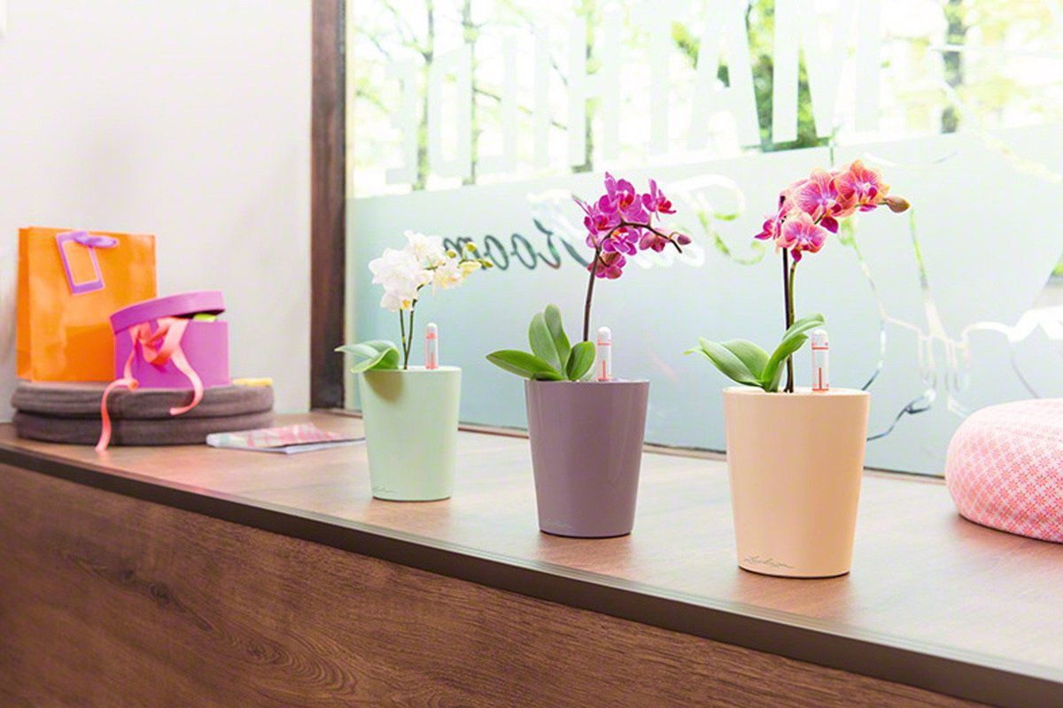 Преимущества горшков с автополивом: почему они незаменимы для ухода за растениями в доме и на даче