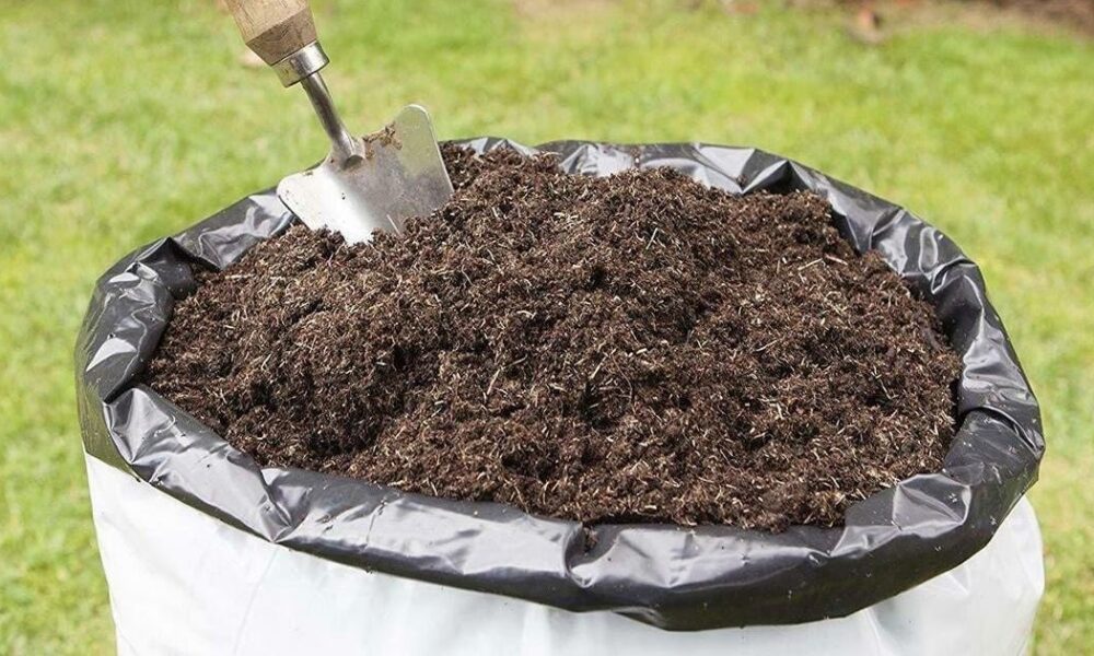 Секреты ускорения созревания компоста: советы опытных садоводов