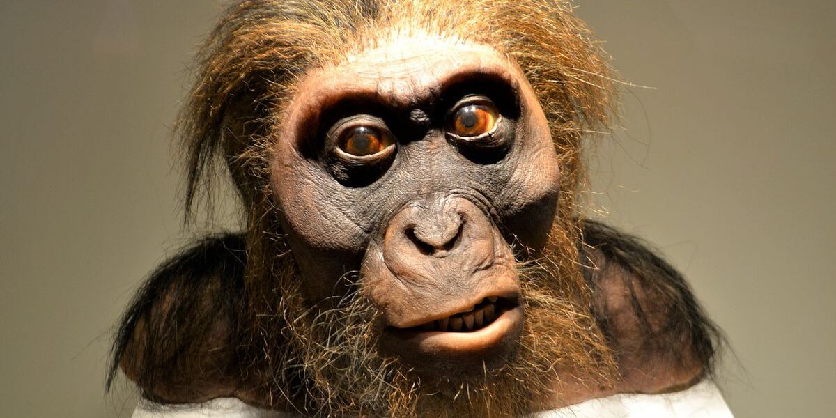 5 фраз, которые выдают устаревшее мышление: как они влияют на вашу жизнь