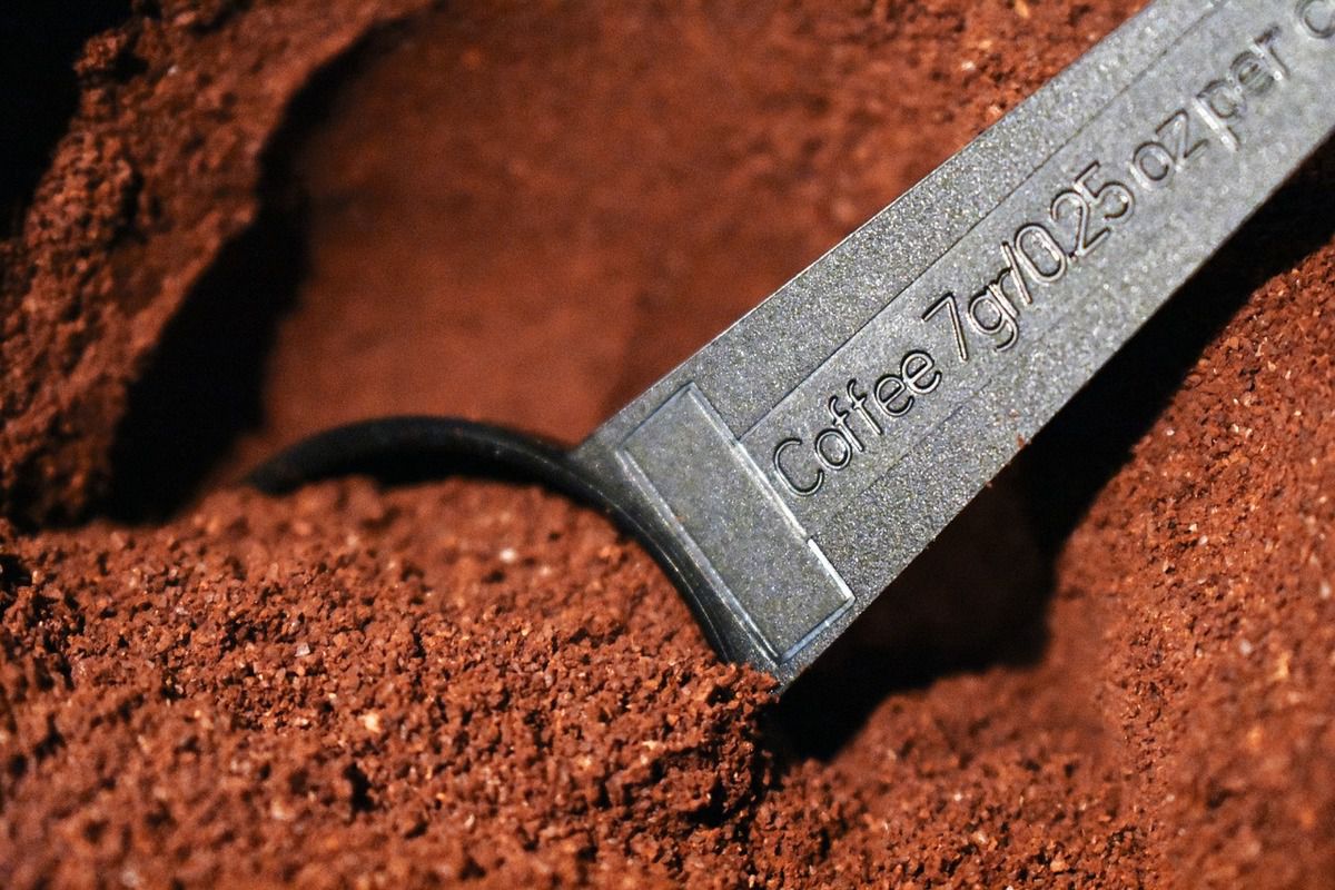 Как использовать кофейную гущу для удобрения почвы: советы и ошибки, которых стоит избегать