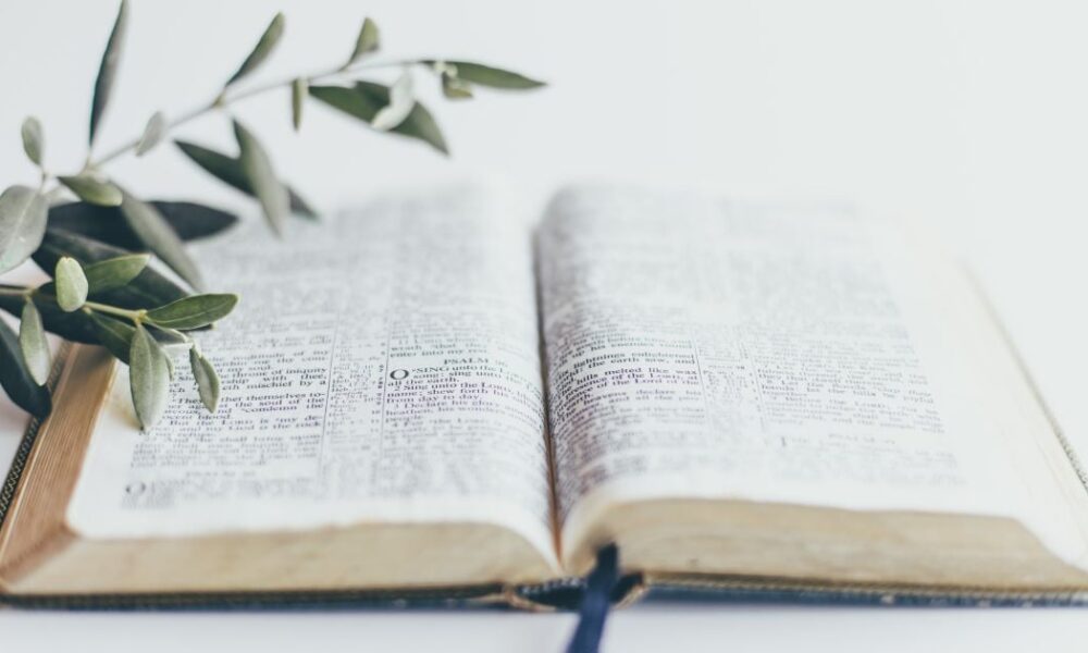 27 сентября: церковный праздник и народные приметы для садоводов