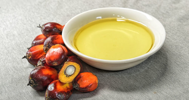 Пальмовое масло: когда оно вредит здоровью женщины