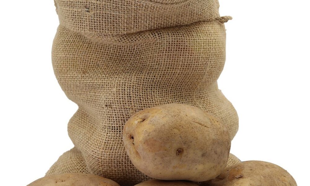 Как сохранить картофель свежим: проверенные способы для дома