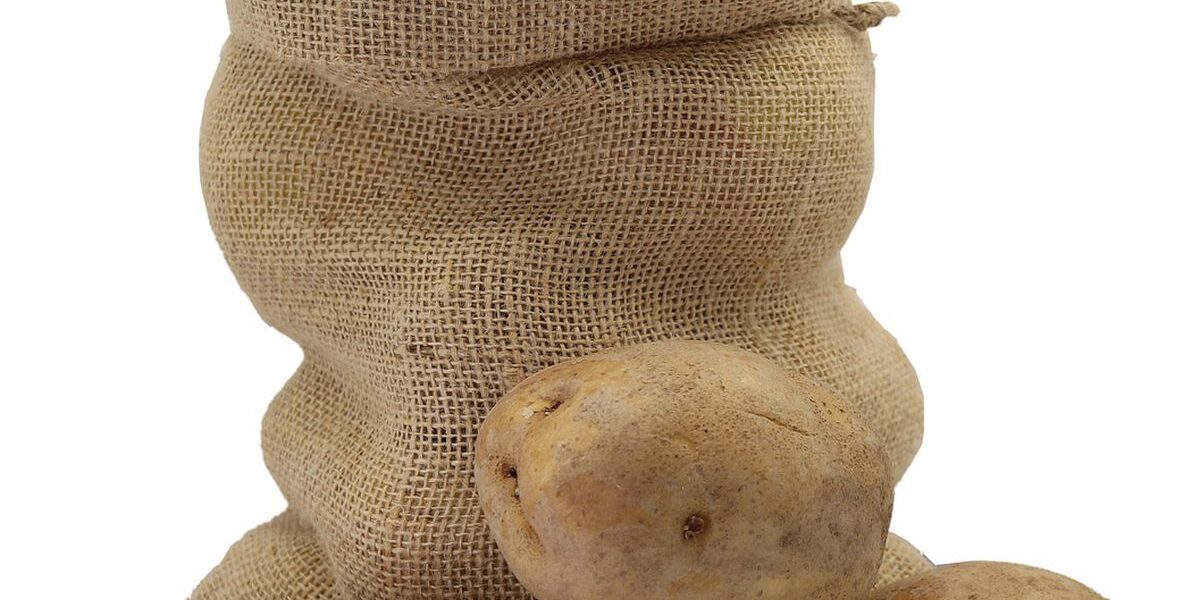 Как сохранить картофель свежим: проверенные способы для дома
