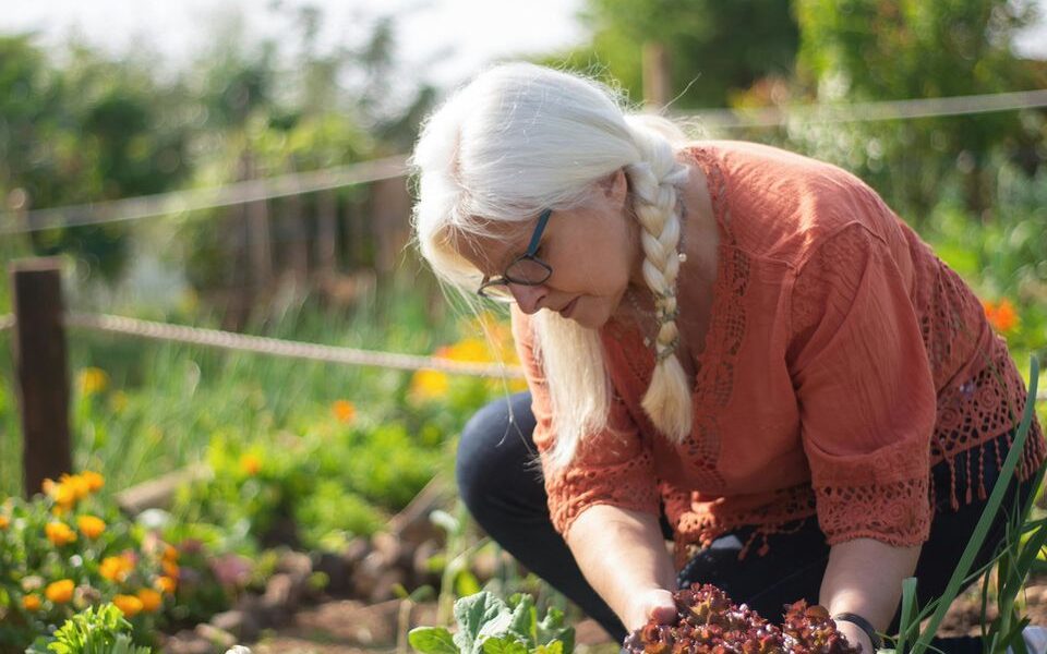 Секреты опытных дачников: как вернуть плодородие почве без химии для вашего сада