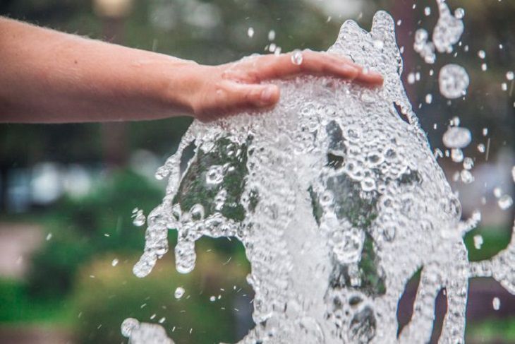 Жара в саду: как сохранить свежесть и урожай, когда солнце печет